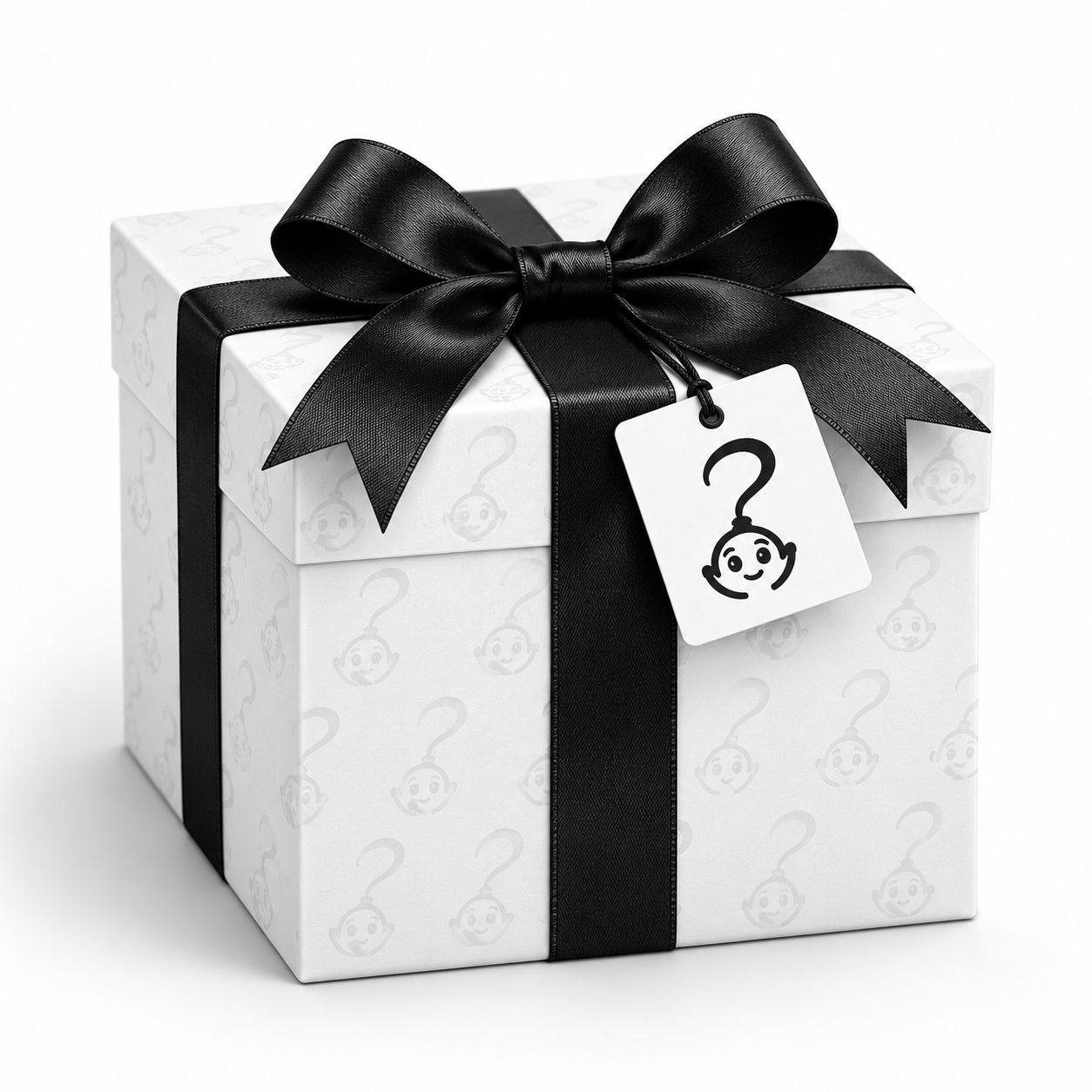 The Premium Mystery Box